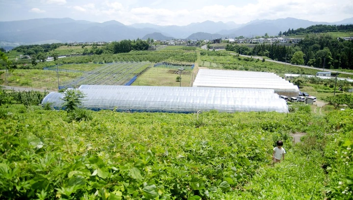 295_7439748580_70ebc20e1a_k-1024x581