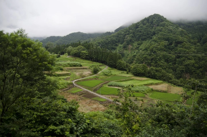 193_7625846680_4a717b2863_k-1024x678