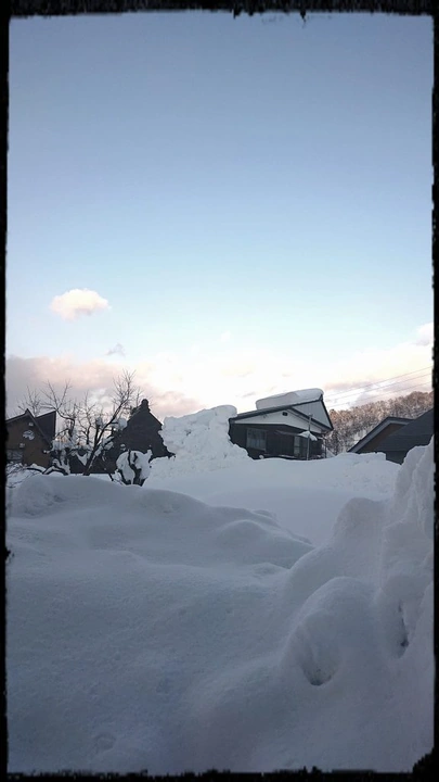 223_273559300_10160372808953203_3257776600245166552_n-576x1024