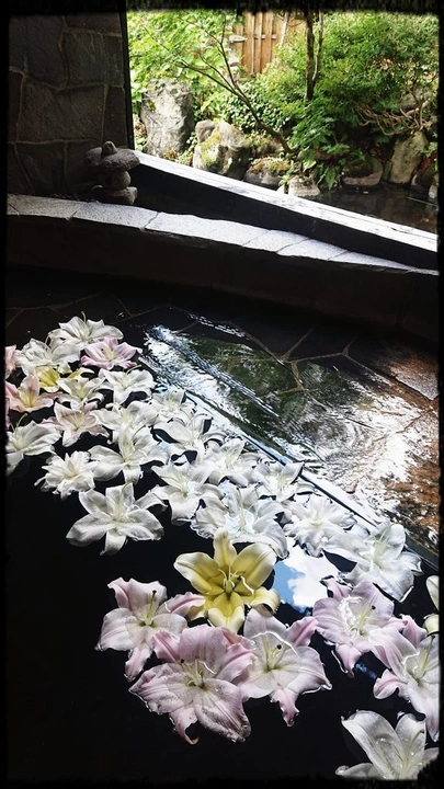 113_386351515_10161691464858203_4055815033689684302_n-1-576x1024