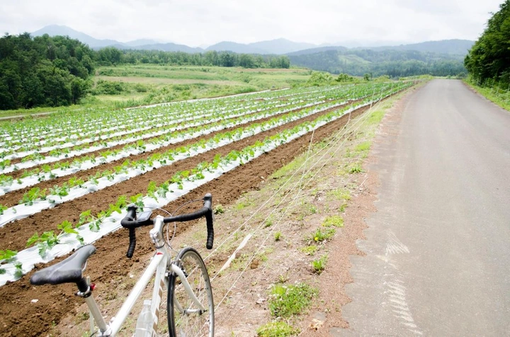 265_10483079_10152568185873203_1692242399000379747_o-1024x678