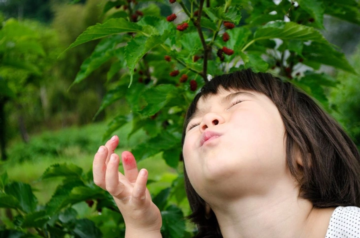 250_10368299_10152544502933203_6268779620640066710_o-1024x678