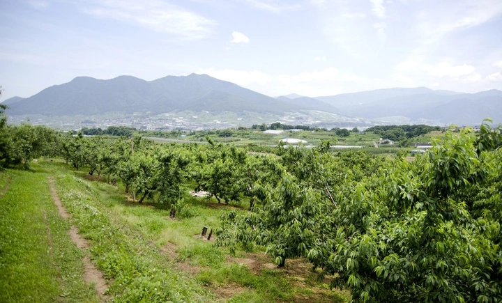 292_7439745462_a13fc361ed_k-1024x619